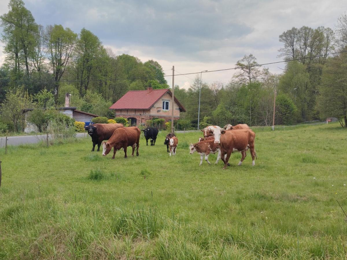 Lusatia Farm レシナ エクステリア 写真
